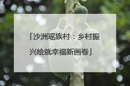 沙洲瑶族村：乡村振兴绘就幸福新画卷