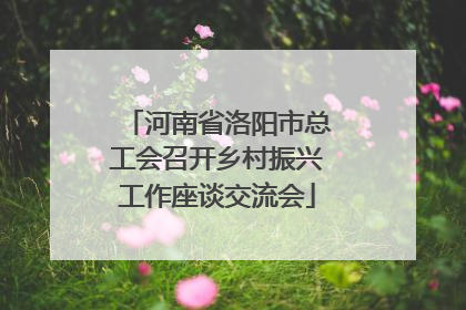 河南省洛阳市总工会召开乡村振兴工作座谈交流会