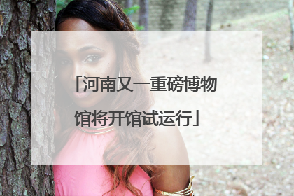 河南又一重磅博物馆将开馆试运行