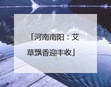 河南南阳：艾草飘香迎丰收