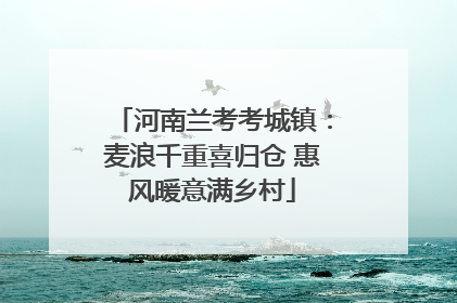 河南兰考考城镇：麦浪千重喜归仓 惠风暖意满乡村