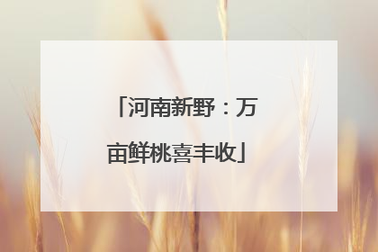 河南新野：万亩鲜桃喜丰收