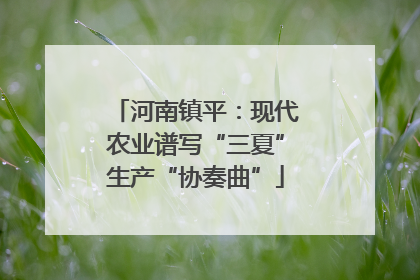 河南镇平：现代农业谱写“三夏”生产“协奏曲”