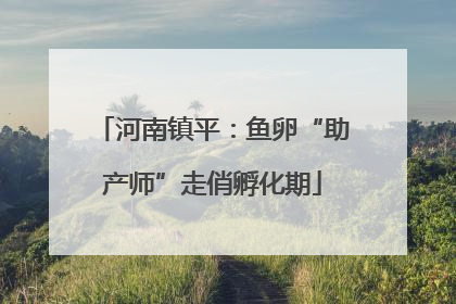 河南镇平：鱼卵“助产师”走俏孵化期