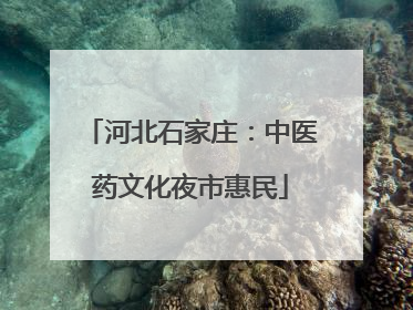 河北石家庄：中医药文化夜市惠民