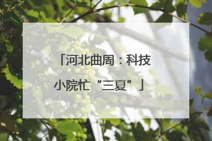 河北曲周：科技小院忙“三夏”