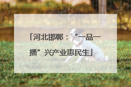河北邯郸：“一品一播”兴产业惠民生