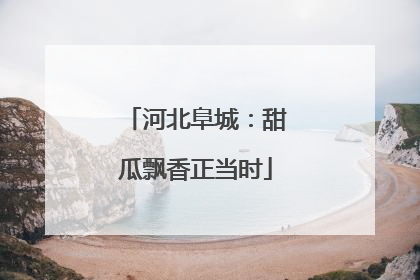 河北阜城：甜瓜飘香正当时