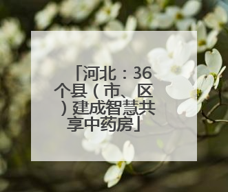 河北：36个县（市、区）建成智慧共享中药房