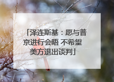 泽连斯基：愿与普京进行会晤 不希望美方退出谈判