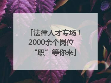 法律人才专场！2000余个岗位“职”等你来