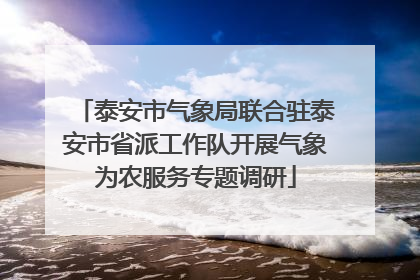 泰安市气象局联合驻泰安市省派工作队开展气象为农服务专题调研