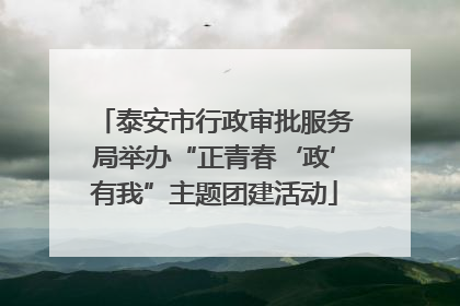 泰安市行政审批服务局举办“正青春‘政’有我”主题团建活动