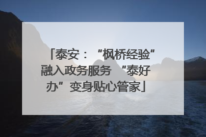 泰安：“枫桥经验”融入政务服务 “泰好办”变身贴心管家
