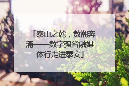 泰山之麓，数潮奔涌——数字强省融媒体行走进泰安