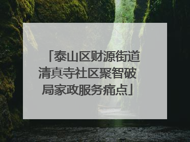 泰山区财源街道清真寺社区聚智破局家政服务痛点