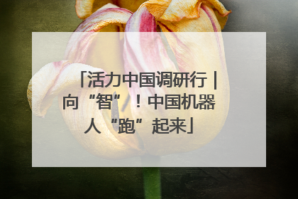 活力中国调研行｜向“智”！中国机器人“跑”起来