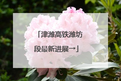津潍高铁潍坊段最新进展→