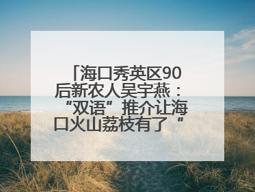 海口秀英区90后新农人吴宇燕：“双语”推介让海口火山荔枝有了“国际范”