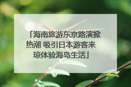 海南旅游东京路演掀热潮 吸引日本游客来琼体验海岛生活