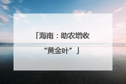 海南：助农增收 “黄金叶”