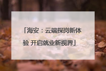 海安：云端探岗新体验 开启就业新视界