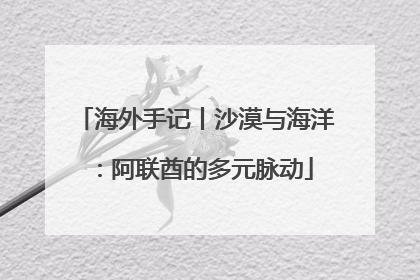 海外手记丨沙漠与海洋：阿联酋的多元脉动