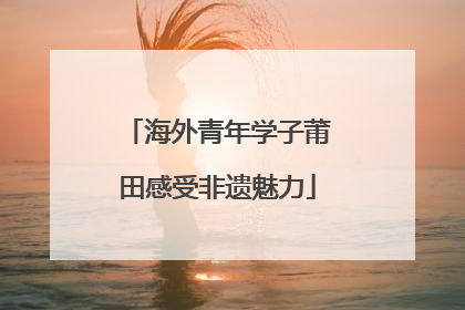 海外青年学子莆田感受非遗魅力