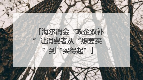 海尔消金“政企双补”让消费者从“想要买”到“买得起”