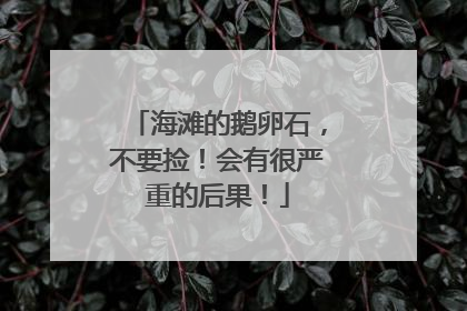 海滩的鹅卵石，不要捡！会有很严重的后果！