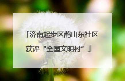 济南起步区鹊山东社区获评“全国文明村”