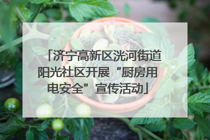 济宁高新区洸河街道阳光社区开展“厨房用电安全”宣传活动
