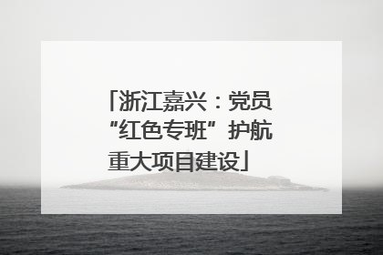浙江嘉兴：党员“红色专班”护航重大项目建设