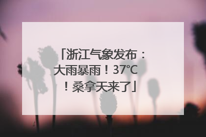 浙江气象发布：大雨暴雨！37℃！桑拿天来了