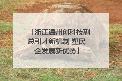 浙江温州创科技副总引才新机制 塑民企发展新优势