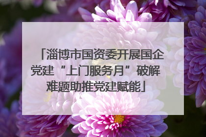 淄博市国资委开展国企党建“上门服务月”破解难题助推党建赋能
