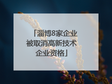 淄博8家企业被取消高新技术企业资格