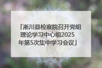 淅川县检察院召开党组理论学习中心组2025年第5次集中学习会议