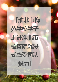 淮北市梅苑学校学子走进淮北市检察院沉浸式感受司法魅力