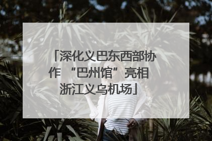 深化义巴东西部协作 “巴州馆”亮相浙江义乌机场