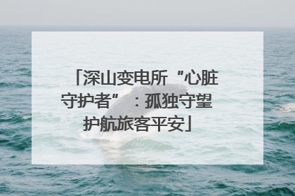 深山变电所“心脏守护者”：孤独守望护航旅客平安