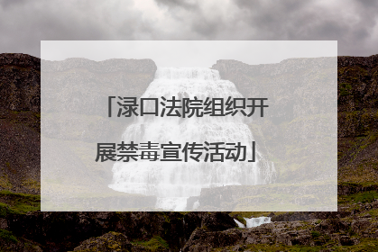 渌口法院组织开展禁毒宣传活动
