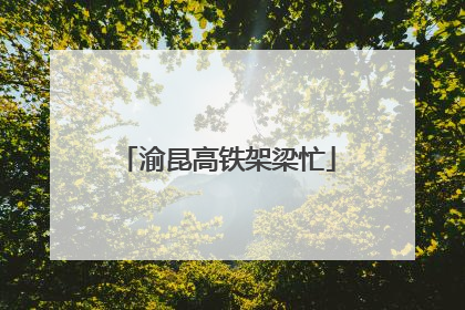 渝昆高铁架梁忙