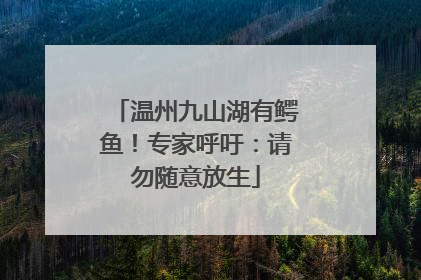 温州九山湖有鳄鱼！专家呼吁：请勿随意放生