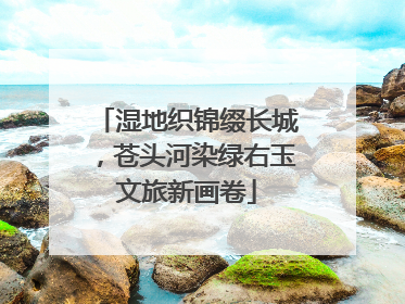 湿地织锦缀长城，苍头河染绿右玉文旅新画卷