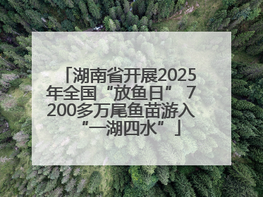 湖南省开展2025年全国“放鱼日” 7200多万尾鱼苗游入“一湖四水”
