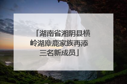 湖南省湘阴县横岭湖麋鹿家族再添三名新成员