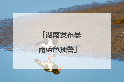 湖南发布暴雨蓝色预警