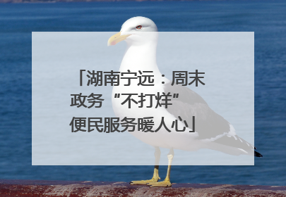湖南宁远：周末政务“不打烊” 便民服务暖人心