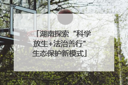 湖南探索“科学放生+法治善行”生态保护新模式
